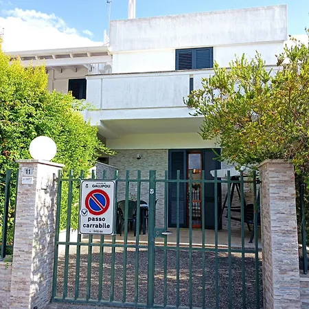 Egina * 갈리폴리